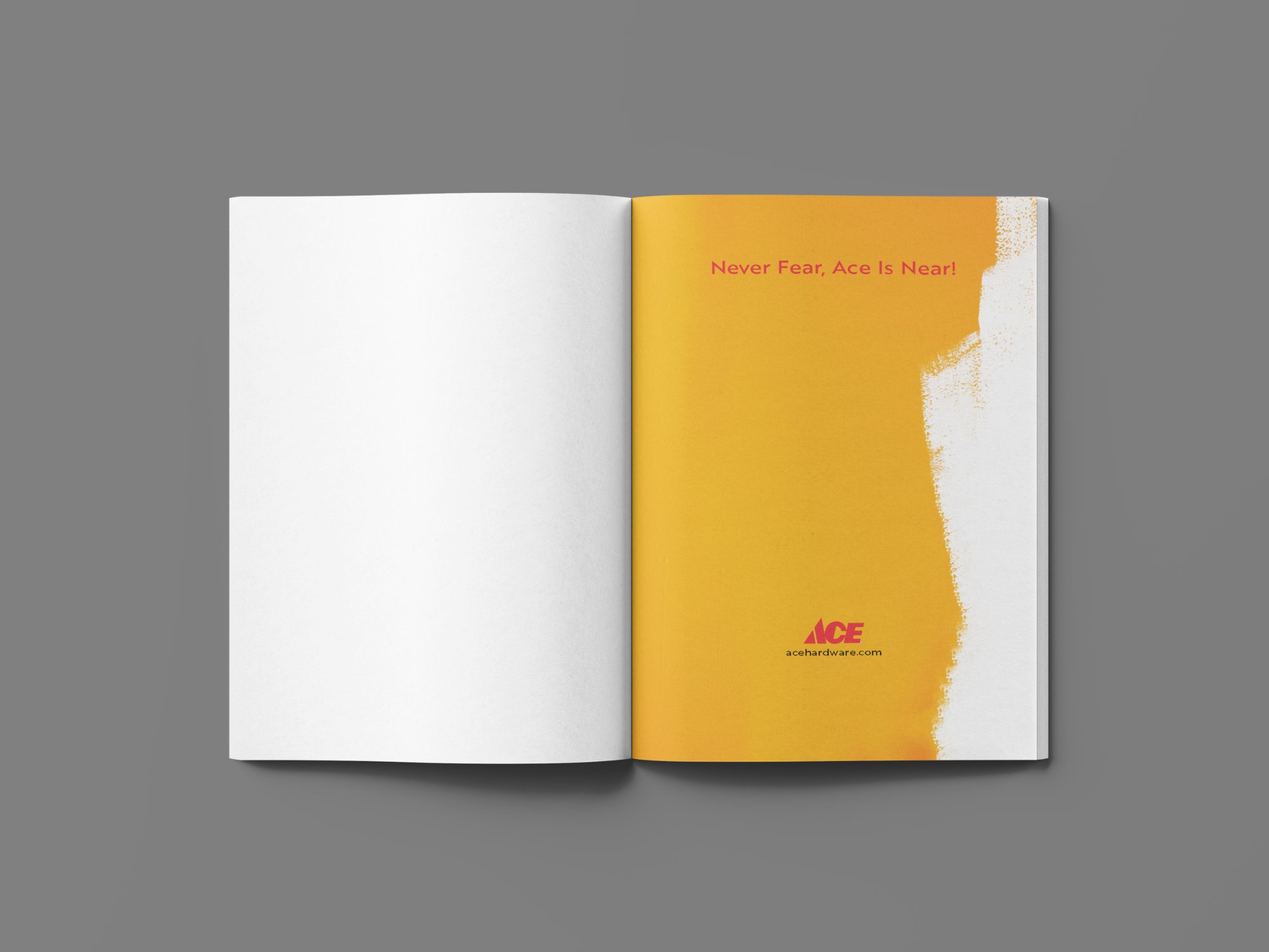 ACE Magazine Mockup Paint