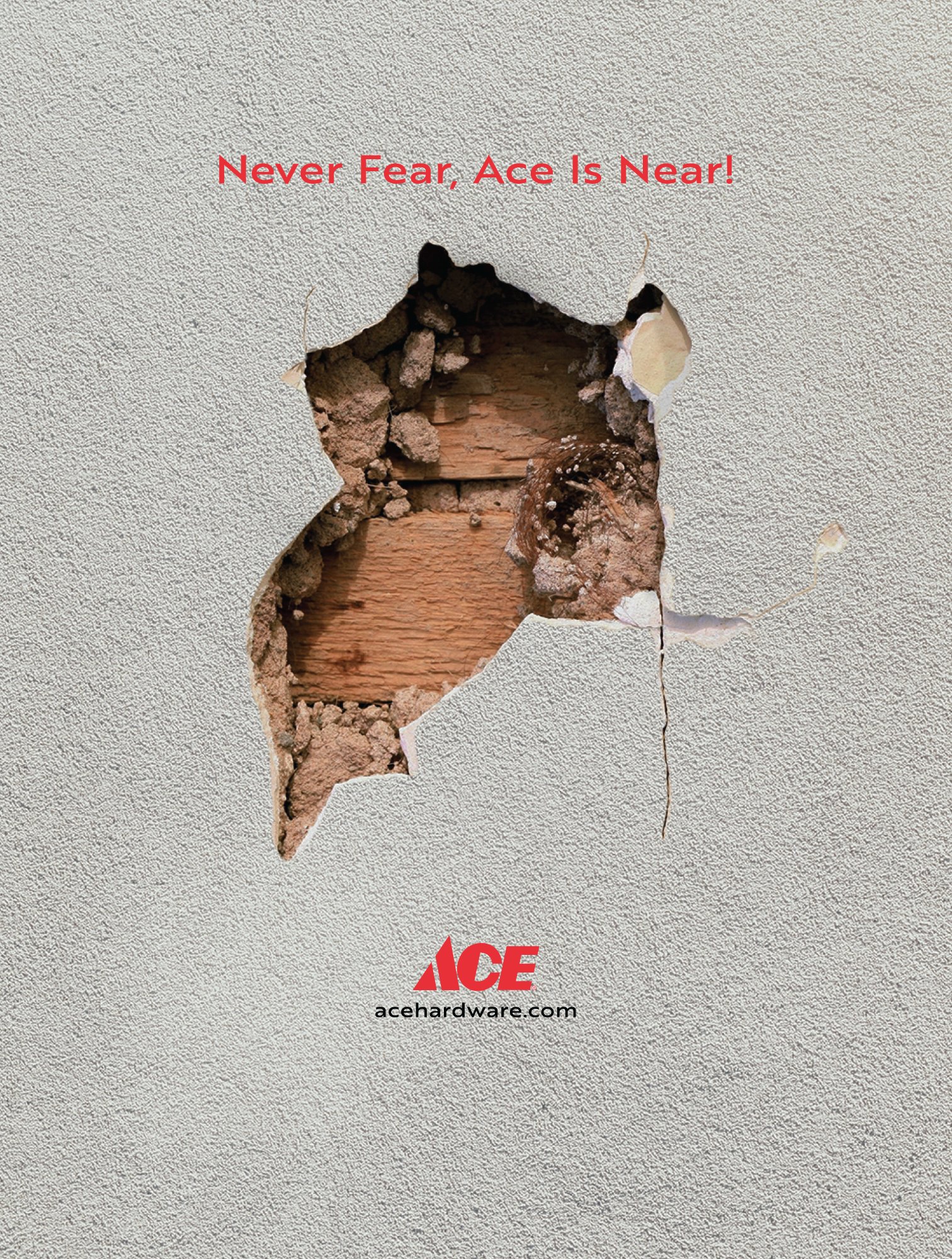 ACE Hardware Sink Ad