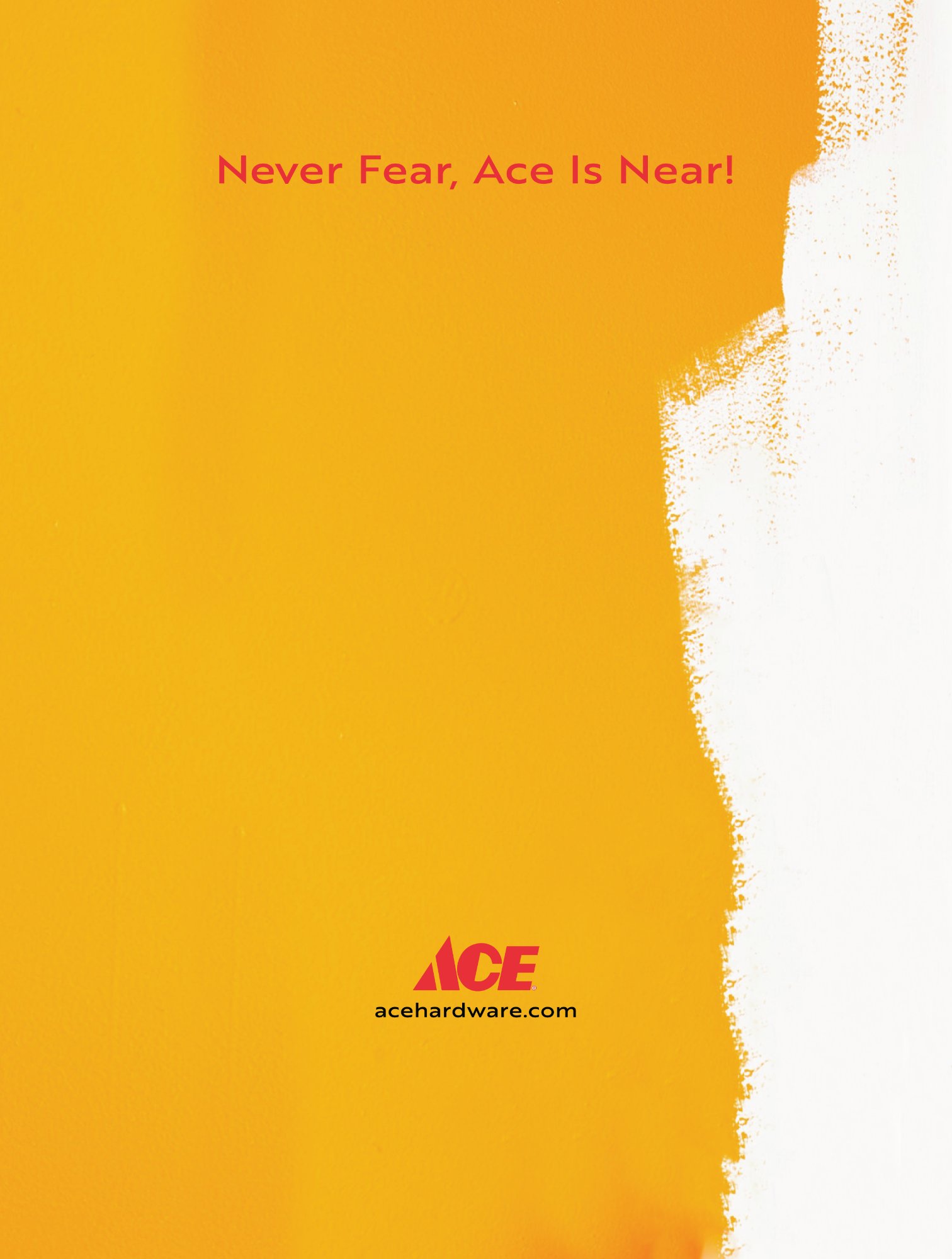 ACE Hardware Wall Ad